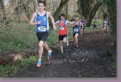 Begles 15.12.13 01 1047 * 679 x 453 * (184KB)